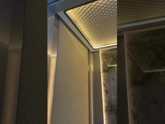 観察 / パノラマ 高速エレベーター マルチモデル 乗客用